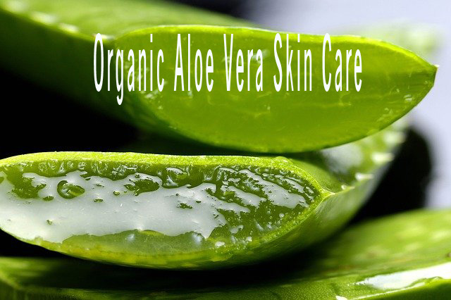 organic_aloe_vera_skin_care